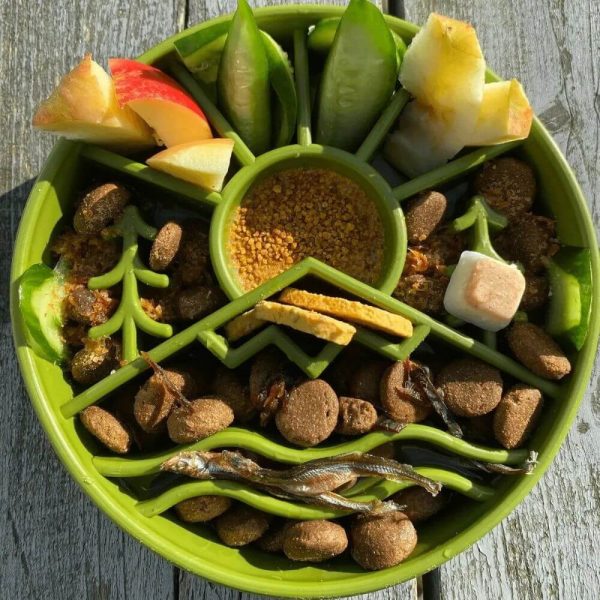 Sodapup slowfeeder outdoors green glada hundar