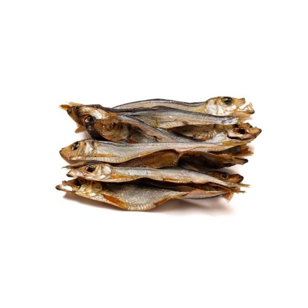 Tassafritt skarpsill glada hundar