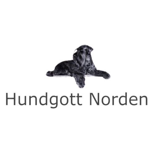Hundgott logo