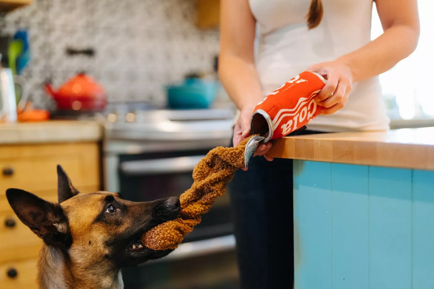 pet play cola burk hundleksak glada hundar