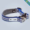 Metizo halsband fast blå glada hundar