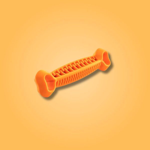 Fiboo fiboon dental orange glada hundar