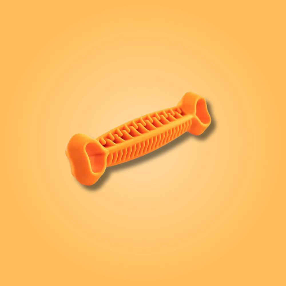 Fiboo fiboon dental orange glada hundar