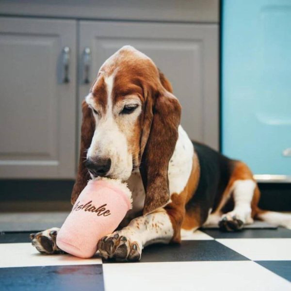 pet play milkshake hundleksak glada hundar