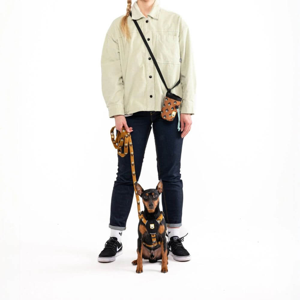 Woolly wolf sea to summit produkter glada hundar
