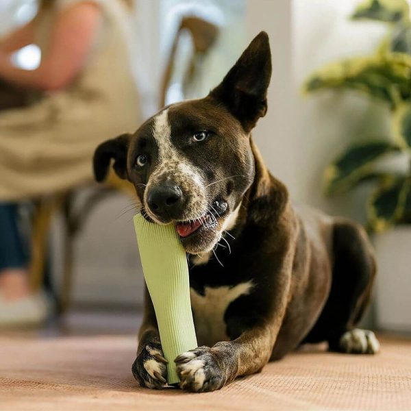 earth rated aktiveringsleksak hund glada hundar