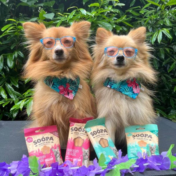 Soopa Paw-Na Colada Hundgodis - Bild 2