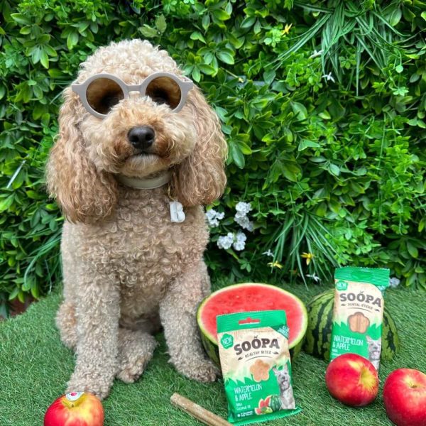 Soopa Vattenmelon & Äpple Hundgodis - Bild 2