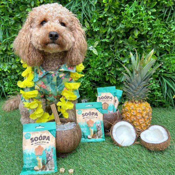 Soopa Paw-Na Colada Dental Sticks - Bild 2