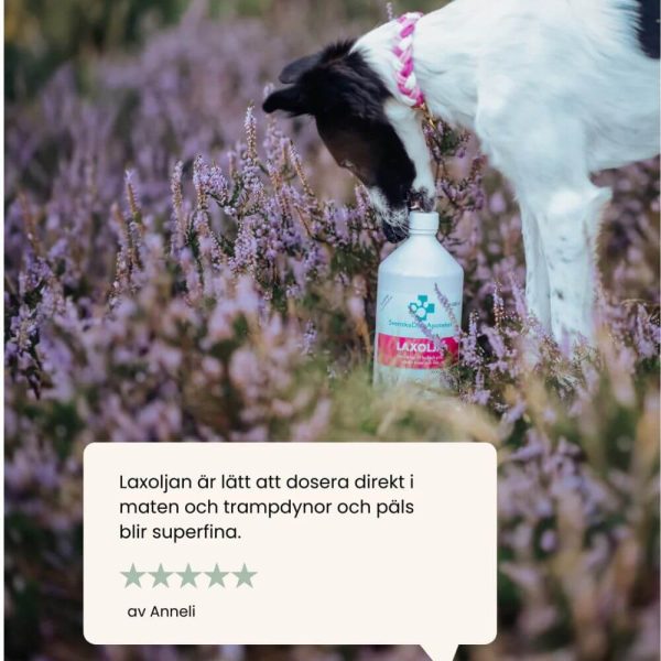svenska djurapoteket laxolja glada hundar