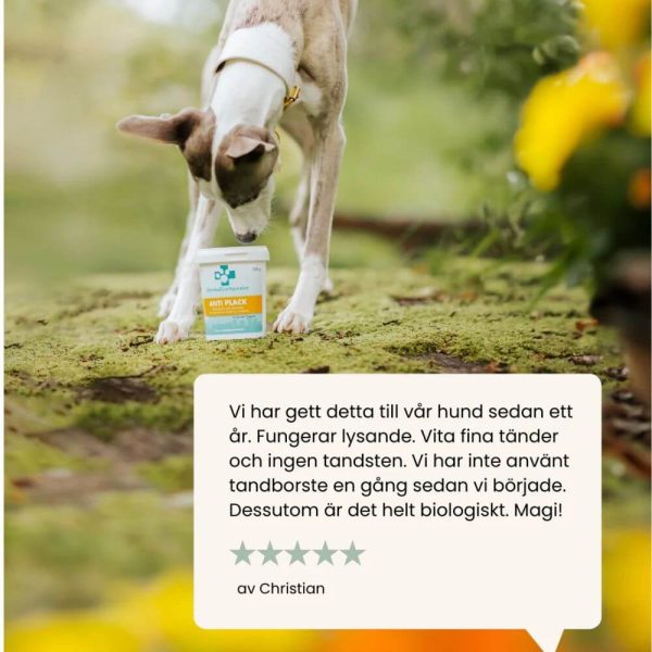 svenska djurapotetket anti plack review glada hundar