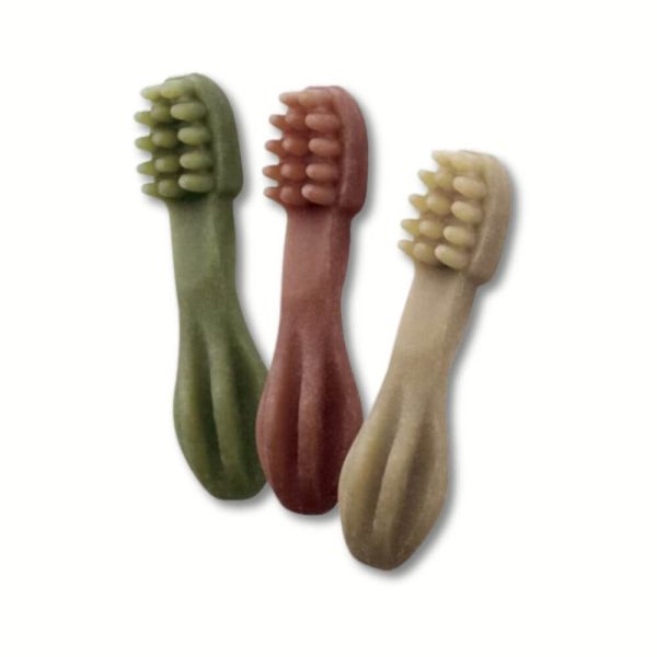 whimzees tandborste small dentaltugg glada hundar