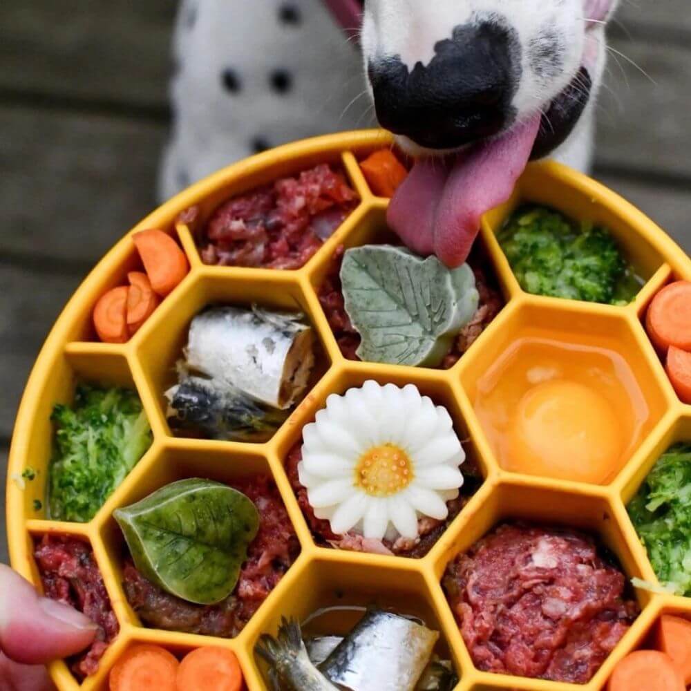 Sodapup honeycomb slowfeeder gul glada hundar