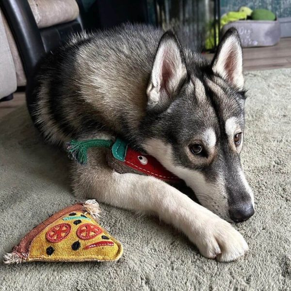green and wilds pizza slice pepe hundleksak glada hundar