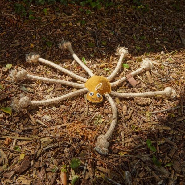 green and wilds lily longlegs hundleksak glada hundar