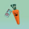 green and wilds carrot hundleksak glada hundar