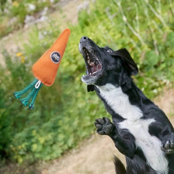 green and wilds carrot hundleksak glada hundar