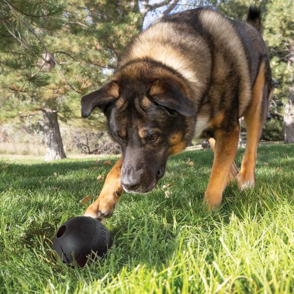 Kong ball leksak extreme svart glada hundar