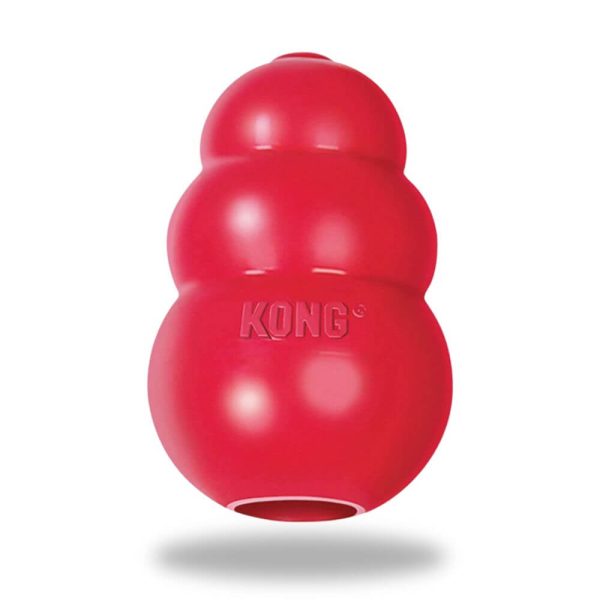 Kong classic röd hundleksak glada hundar