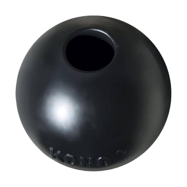 Kong extreme ball boll glada hundar