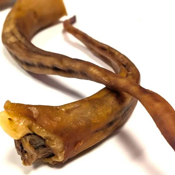 Alternative view of Emmzo – Grisknorr