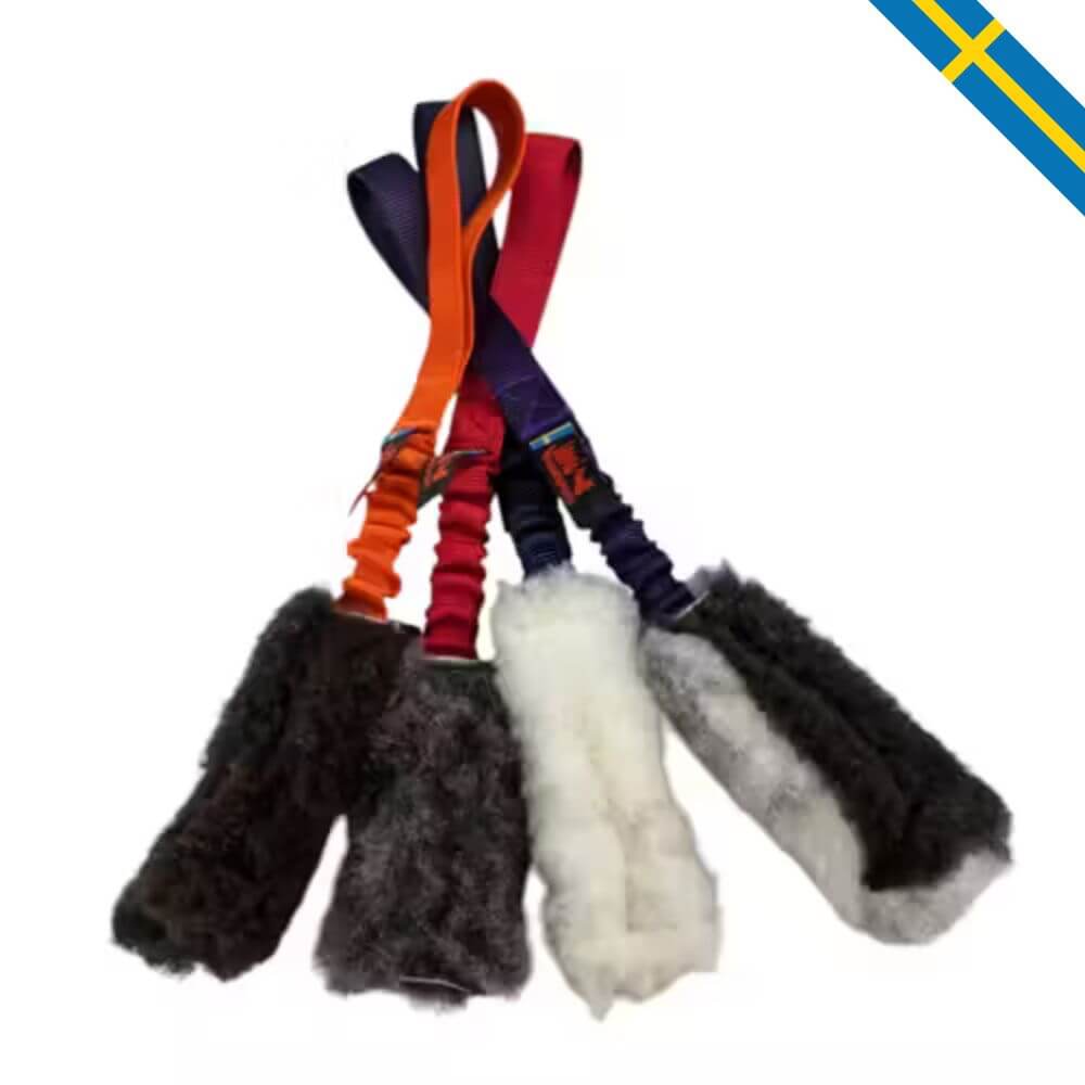 Jami hundsport expander råtta bungee glada hundar