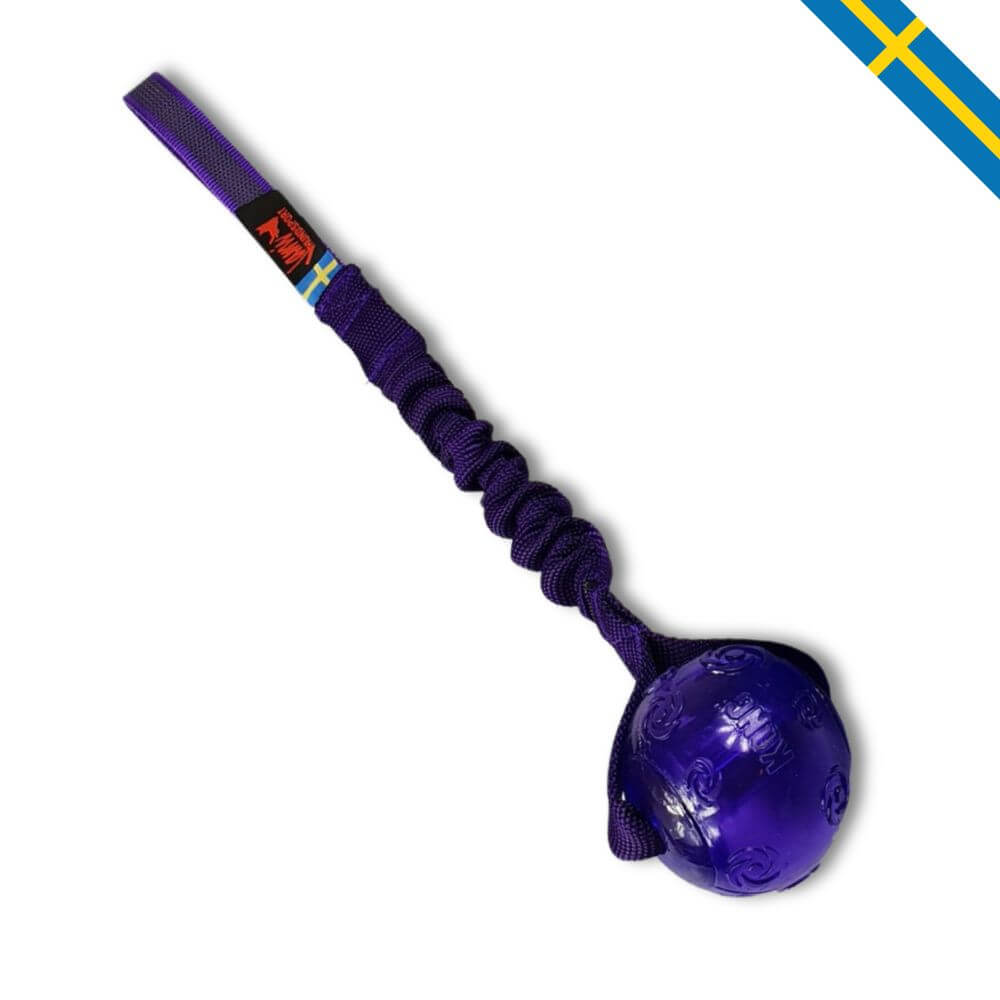 jami hundsport stor piko glada hundar