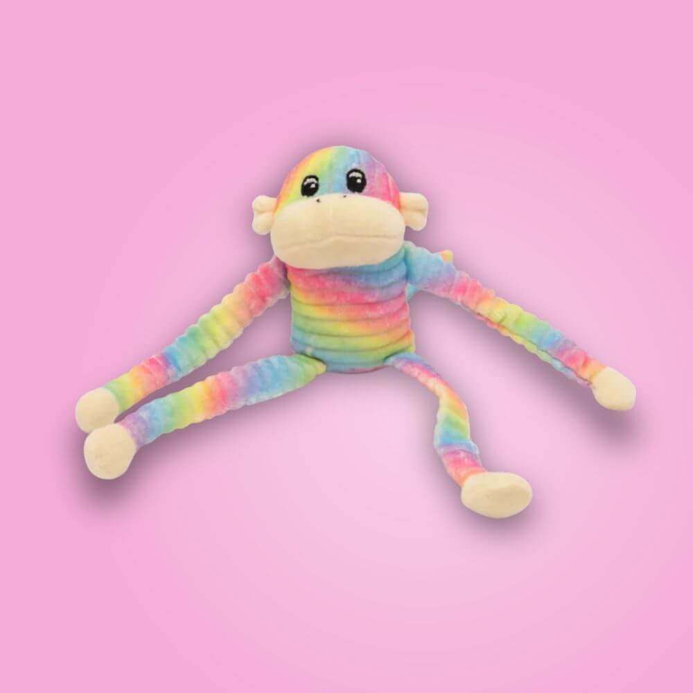 ZippyPaws monkey rainbow spencer glada hundar