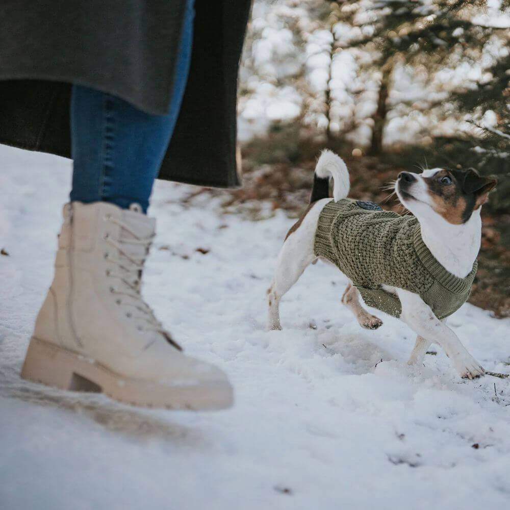 Hunter grön hundpullover stickad hundtröja glada hundar