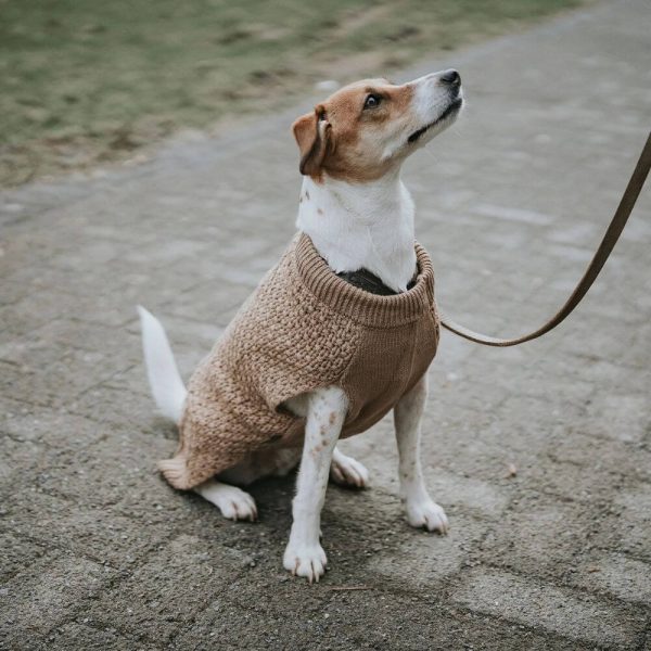 Alternative view of Hunter Hundpullover Malmö - Beige Hundtröja